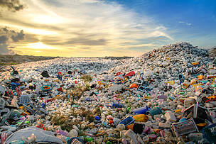 WWF: Tratado global de poluição por plásticos está na encruzilhada entre o sucesso e o fracasso