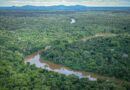 Governo lança parceria para combater incêndios e desmatamento na Amazônia