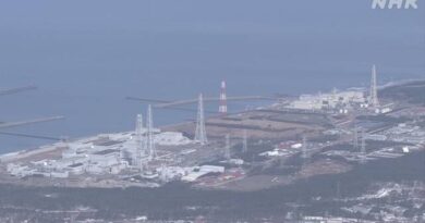 Tepco reinicia colocação de combustível nuclear em reator de Niigata para testes