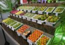 Festas que promovem frutas em SP atraem público próximo a 1 milhão