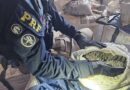 Polícia Rodoviária Federal apreende 31,5 toneladas de minério ilegal em Rondônia