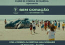 Clube de Cinema de Marília exibe o longa “Sem Coração” na Sessão Vitrine Petrobras