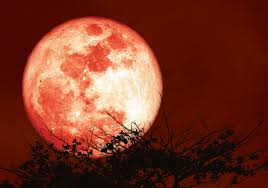 Tem Lua Cheia de Morango nesta sexta; entenda o fenômeno