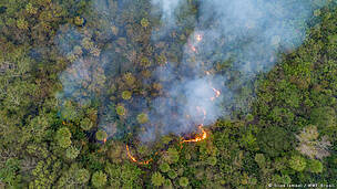Pantanal e Cerrado têm primeiro semestre com mais queimadas desde 1988