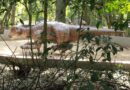 Bosque Municipal de Marília começa receber as primeiras réplicas de dinossauros para exposição ao público