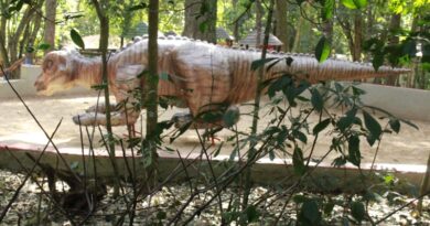 Bosque Municipal de Marília começa receber as primeiras réplicas de dinossauros para exposição ao público