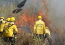 Governo Federal recontrata profissionais para reforçar combate a incêndios