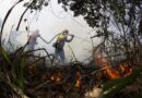 Governo Federal destina mais R$ 137 milhões para combate a incêndios no Pantanal