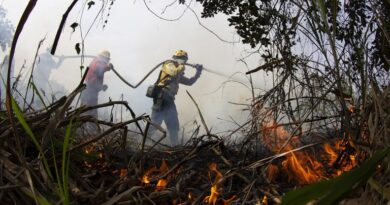 Governo Federal destina mais R$ 137 milhões para combate a incêndios no Pantanal