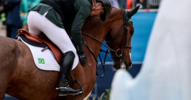Cavalos do Time Brasil: transporte de “atletas especiais” até Paris exige cuidado redobrado em processo complexo