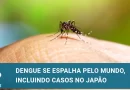 Casos anuais de dengue excedem 10 milhões no mundo, incluindo no Japão