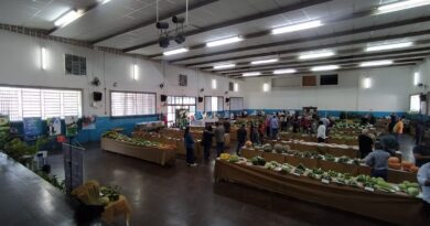 65ª Expo-Agrícola da Região de Lins busca valorizar os pequenos agricultores