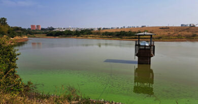 Coloração verde da água chama atenção na Represa Cascata