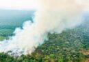 Governo Federal destina mais de R$ 514 milhões extras para combate a incêndios e seca na Amazônia