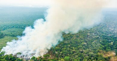 Governo Federal destina mais de R$ 514 milhões extras para combate a incêndios e seca na Amazônia