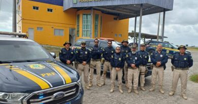 Quatro cargas de madeira irregular são apreendidas pela PRF em Serra Talhada