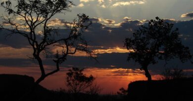 Instituto Chico Mendes apreende ouro em garimpo ilegal no Parque Nacional da Chapada dos Guimarães