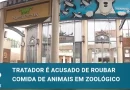 Tratador de macacos é acusado de roubar comida de animais em zoológico no Japão