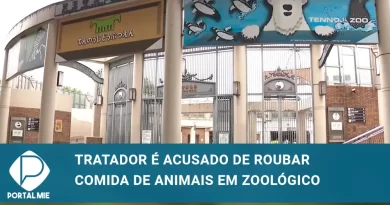 Tratador de macacos é acusado de roubar comida de animais em zoológico no Japão