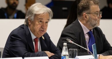 Na COP29, Guterres afirma que ninguém pode parar revolução de energia limpa