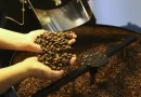 Brasil exporta 46 milhões de sacas de café, atingindo recorde em 2024