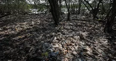 Cúpula da ONU sobre poluição por plásticos não chega a acordo apesar de a maioria dos países apoiar medidas ambiciosas