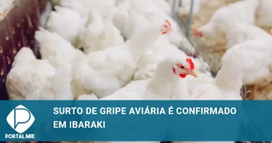 Maior surto de gripe aviária da temporada ocorre em Ibaraki