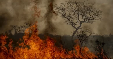 Crise climática é amplificadora de outras crises, alerta pesquisadora