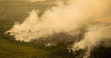 AGU cobra R$ 725 milhões de infratores ambientais no Pantanal