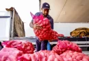 Conab aponta queda de preço da batata e alta da cebola e tomate