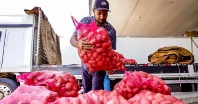 Conab aponta queda de preço da batata e alta da cebola e tomate