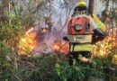 BNDES e Meio Ambiente anunciam R$ 45 milhões do Fundo Amazônia para bombeiros do PA