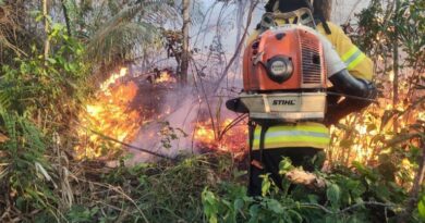 BNDES e Meio Ambiente anunciam R$ 45 milhões do Fundo Amazônia para bombeiros do PA