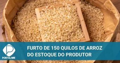 Agricultor teve 150 quilos de arroz furtados de seu depósito