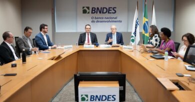 MMA e BNDES abrem consulta pública sobre o mercado de certificação de carbono no país