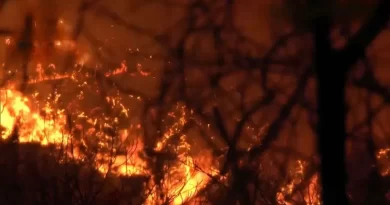 Incêndio florestal em Ehime é o pior em 36 anos, dizem autoridades