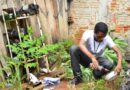 Marília reduz em mais de 36% o índicede infestação do mosquito Aedes aegypti