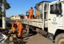 Força-Tarefa da Operação Cata-Treco recolhe 20 toneladas no bairro Maracá