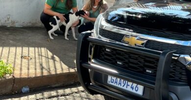 Prefeitura e Polícia Civil resgatam animal sofrendo maus-tratos