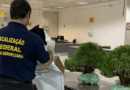 Vigiagro apreende bonsais importados irregularmente no Aeroporto de Guarulhos