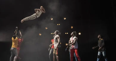 Festival de Circo SP abre inscrição para seleção de projetos
