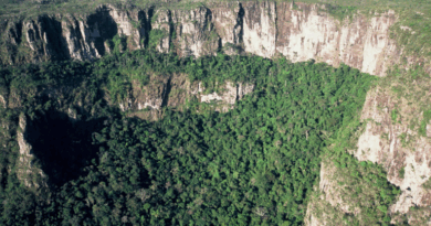 Com apoio da Rouanet, festival Povos da Floresta celebra a diversidade amazônica
