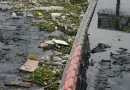 Baía de Guanabara recebe 3 milhões de litros de chorume por dia