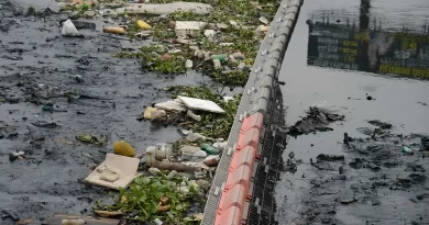 Baía de Guanabara recebe 3 milhões de litros de chorume por dia
