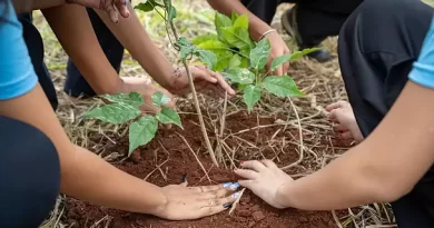Prorrogadas até 15 de maio as inscrições da 3ª Restaura Natureza