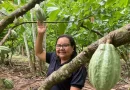 Potencial para bioeconomia atrai investimentos na Amazônia