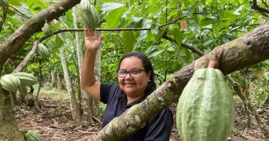 Potencial para bioeconomia atrai investimentos na Amazônia