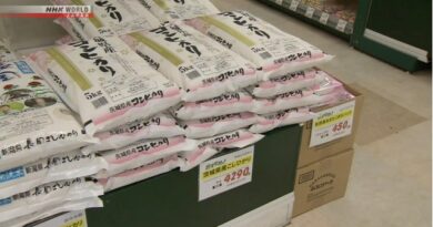 Preços do arroz caem pela 1ª vez este ano no Japão, mas o cereal continua escasso