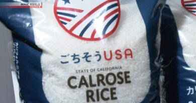 Aeon venderá arroz cultivado na Califórnia em meio à escassez no Japão