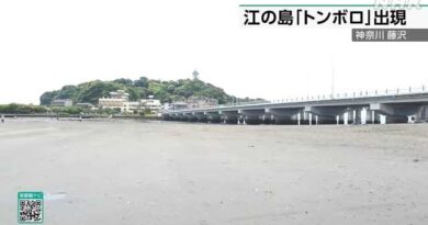 Visitantes seguem rota que surge na maré baixa para visitar ilha turística perto de Tóquio